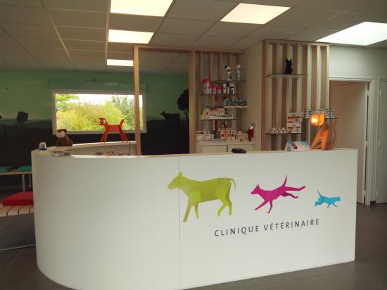 Clinique Vétérinaire de Bourgbarré Clinique Vétérinaire de Bourgbarré